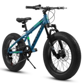 V20235 20 Inch Fat Tire Bike 7 Speed Mountain Bike, Dual Disc Brakes, High Carbon Steel Frame, Front Suspension, Mountain Buggy, City Commuter City Bi (Option: Blue)