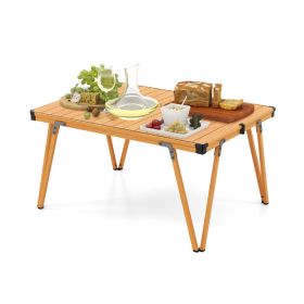 Folding Camping Table with Storage Bag for Outdoor Trip (Color: Brown, Type: Camping Table)