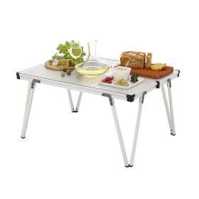 Folding Camping Table with Storage Bag for Outdoor Trip (Color: Silver, Type: Camping Table)